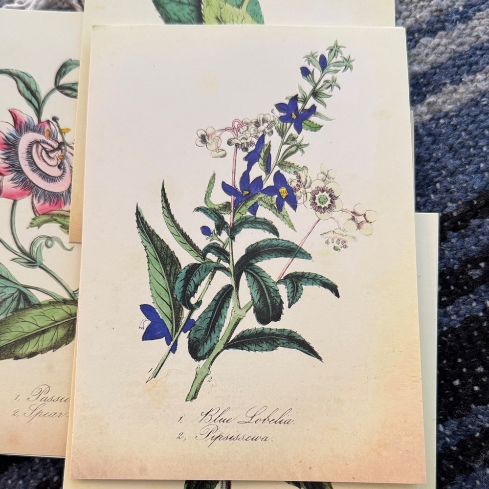 5 Botanical Note Cards - Picture 4 of 6